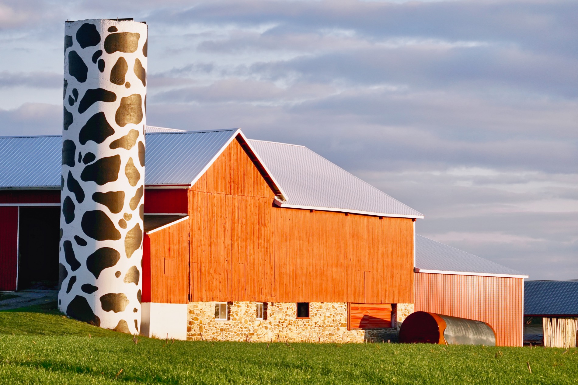 3rd PrizeOpen Color In Class 2 By Edward Goldenberg For Dairy Farm JAN-2026.jpg